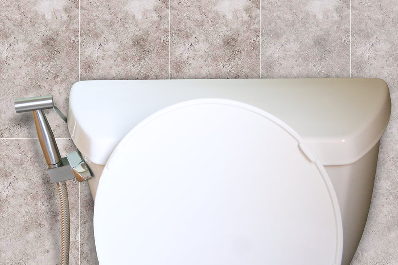 SmarterFresh Brass Bidet Set